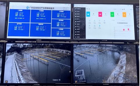 科技興漁 人工智能與芯片魚如何驅(qū)動(dòng)水產(chǎn)養(yǎng)殖變革