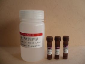 供應(yīng)CAS:1188-37-0,N-乙酰-L-谷氨酸報價25克 1公斤 100克(sigma,TCI)-產(chǎn)品展示-卡邁舒生物技術(shù)(上海)