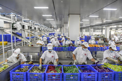 一碗 網紅 螺螄粉的誕生