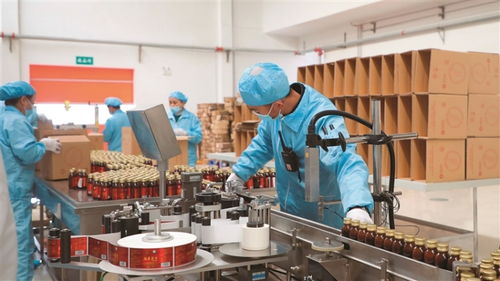 岢嵐 用 千萬工程 經(jīng)驗繪寫和美